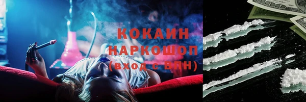 шишки Абинск
