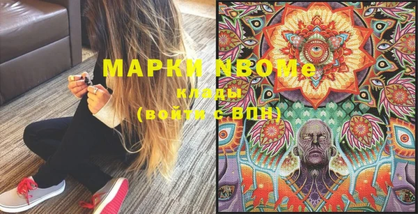 шишки Абинск