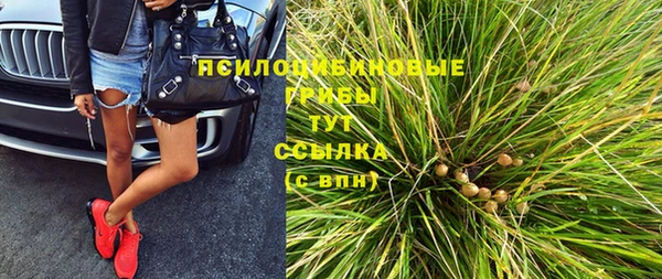 шишки Абинск